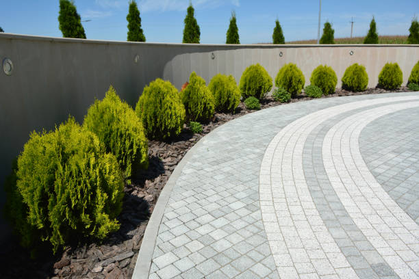 Best Commercial Driveway Pavers  in Wrightwood, CA